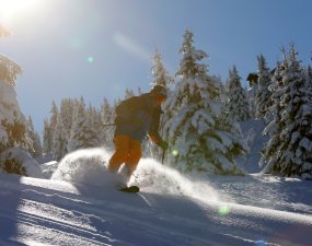Skieur à contre jour dans la poudreuse